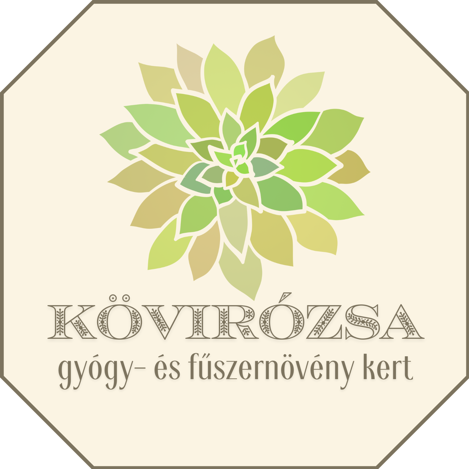 Kövirózsa