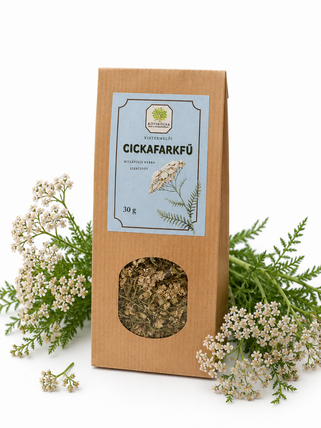 Cickafarkfű tea